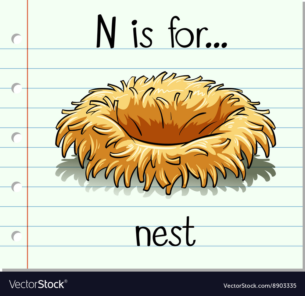 Flashcard Letter N Is For Nest Royalty Free Vector Image