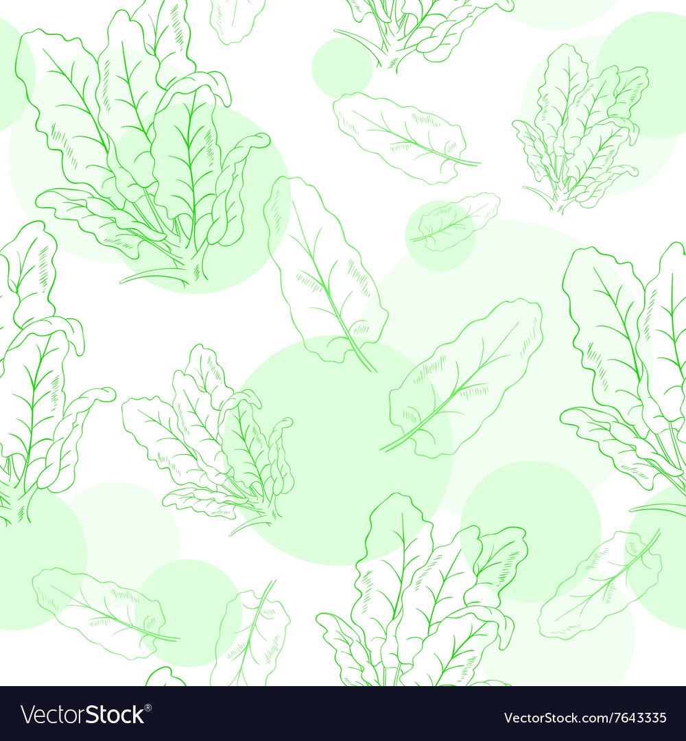 Seamless pattern with spinach and its leafs