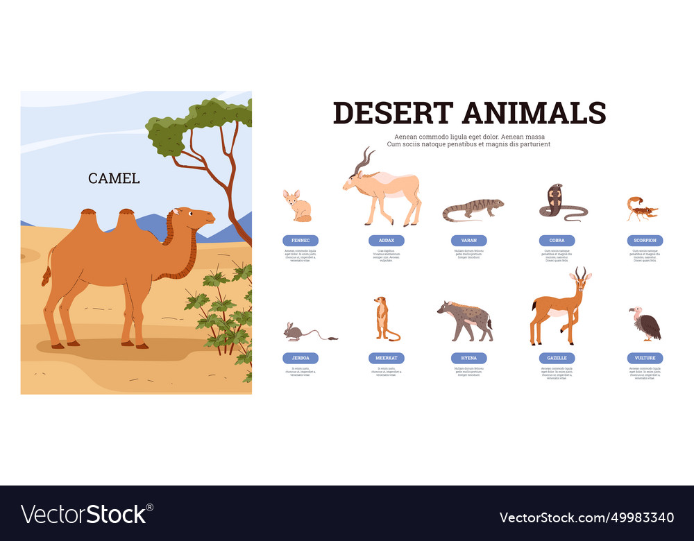 Desert creature with animals and birds name camel Vector Image