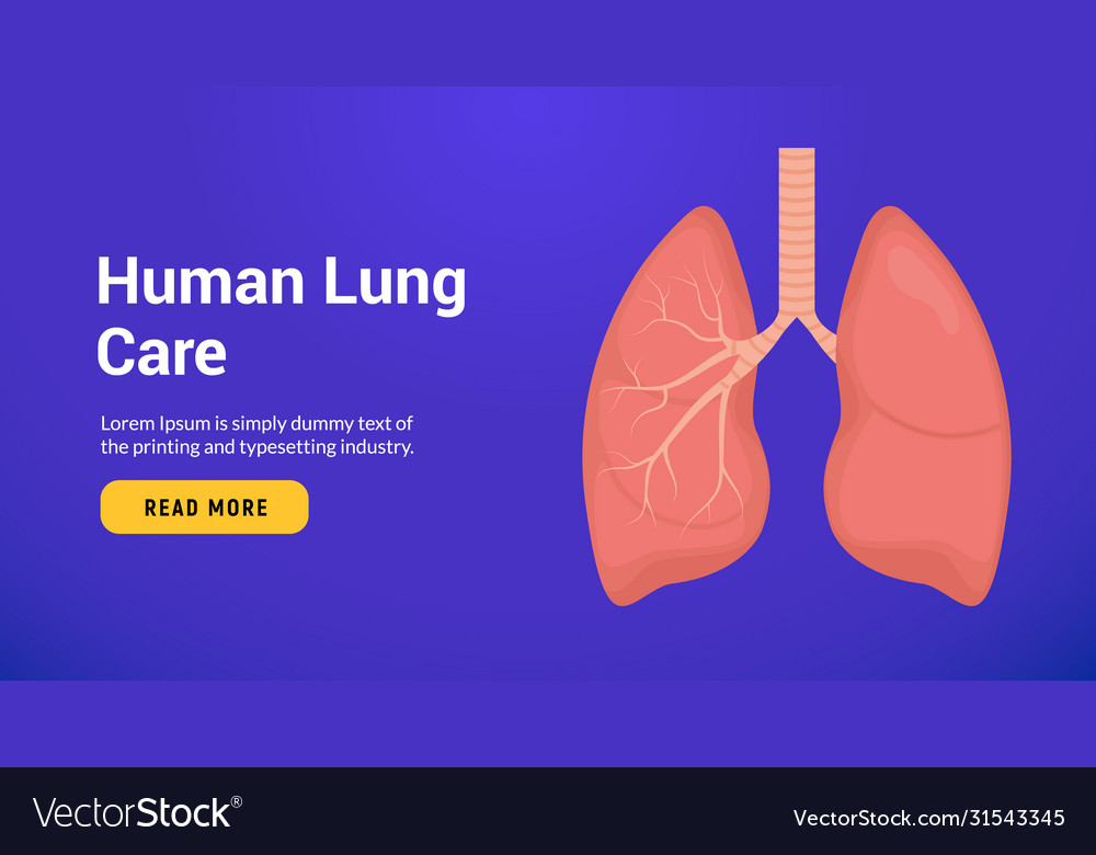 Lung anatomy health banner concept tuberculosis Vector Image