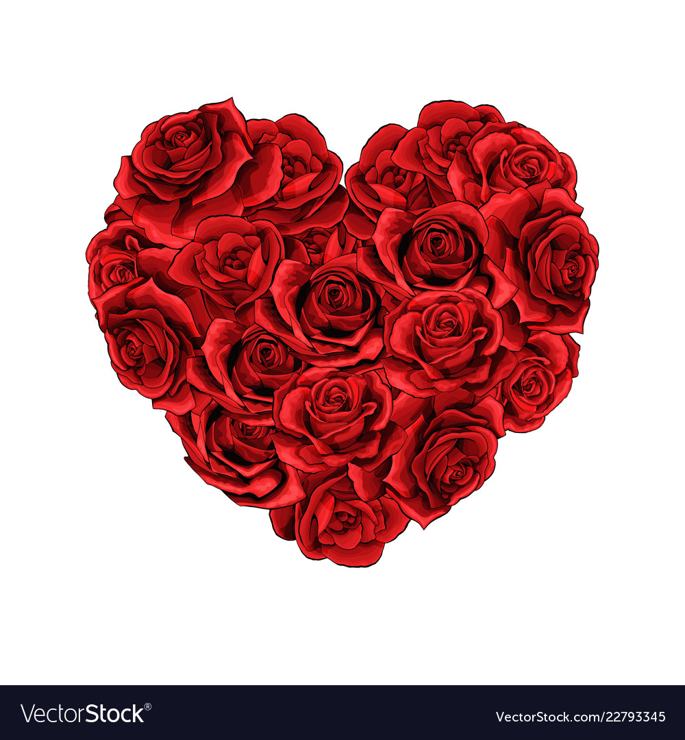 Valentines Day Red Roses Heart Filled Isolated Vector Image