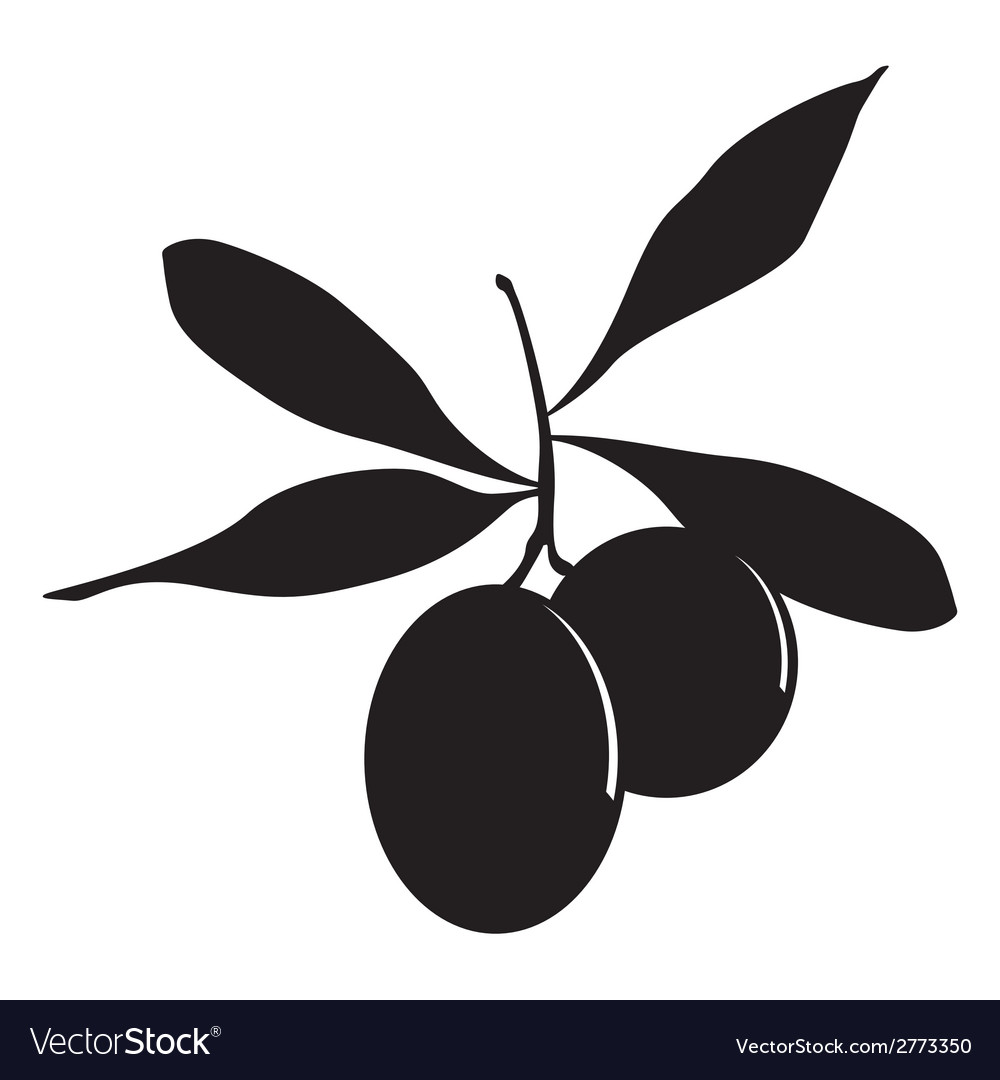 Olives Royalty Free Vector Image - VectorStock