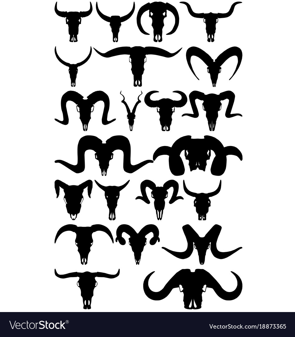 Animal skulls Royalty Free Vector Image - VectorStock Animal skulls Royalty Free Vector Image - VectorStock