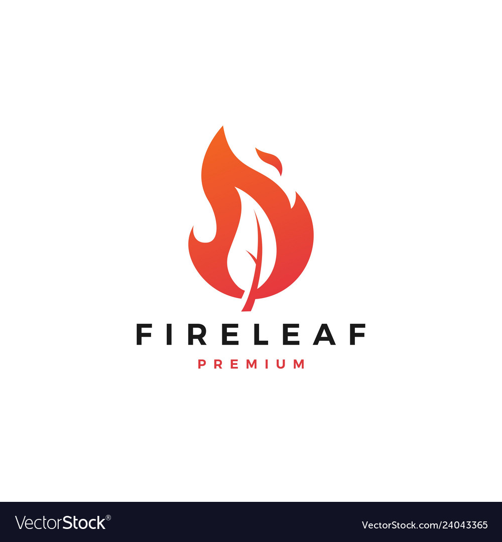 Fire leaf logo flame icon design inspirations vector image Fire leaf logo flame icon design inspirations