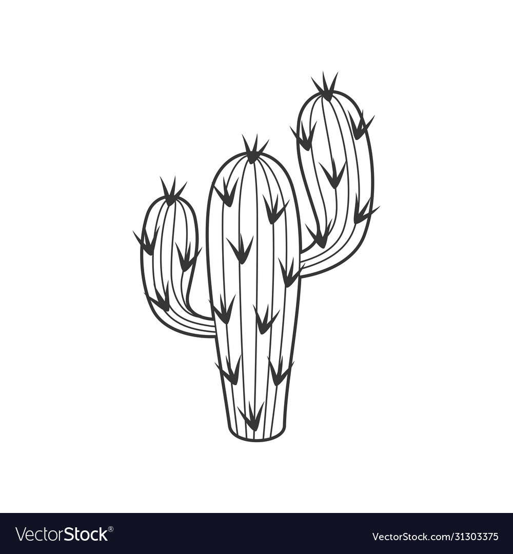 Cactus illustration png Vectors & Illustrations for Free Download