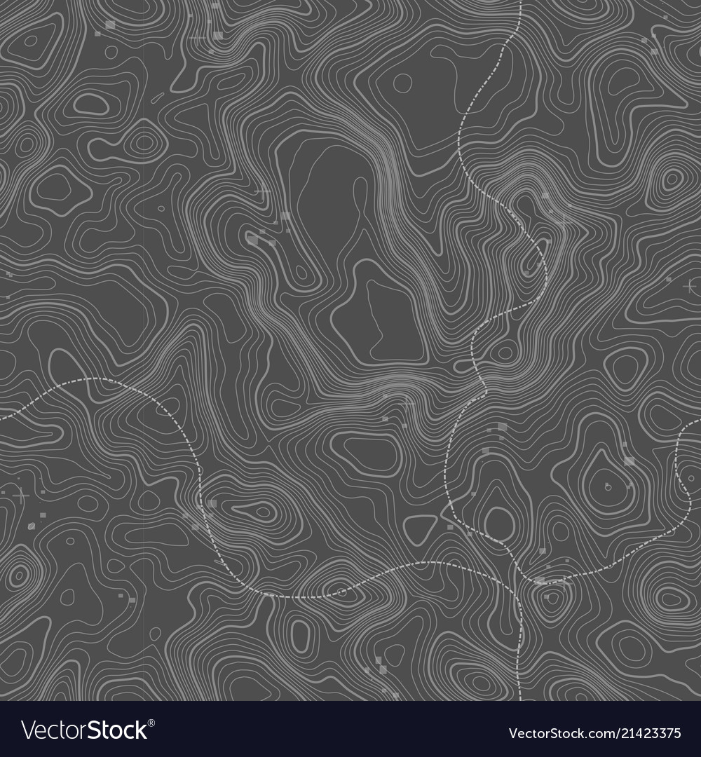 Seamless pattern topographic map background Vector Image