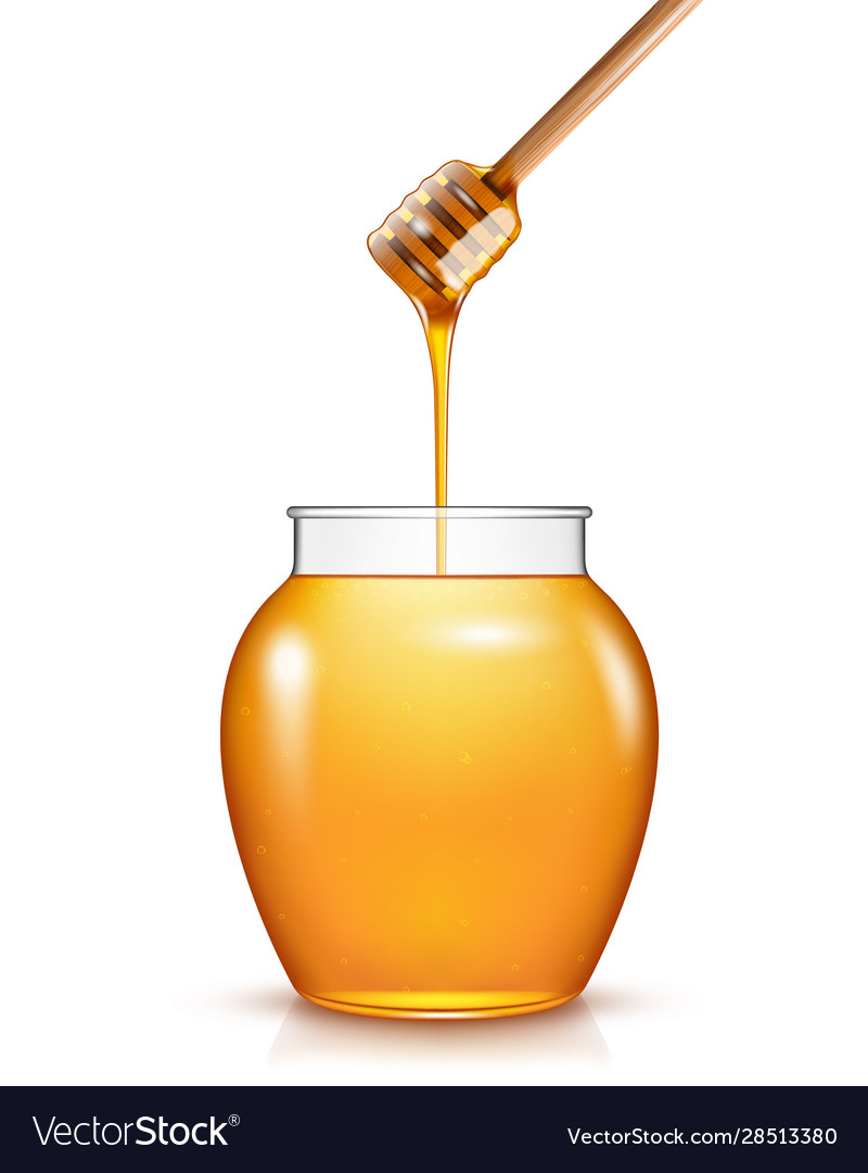 Glass jar honey with wooden drizzler isolated Vector Image