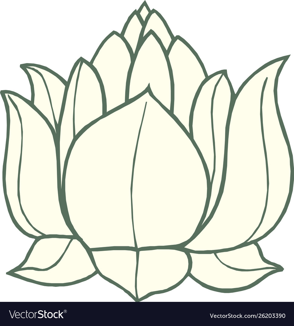 White lotus icon Royalty Free Vector Image - VectorStock