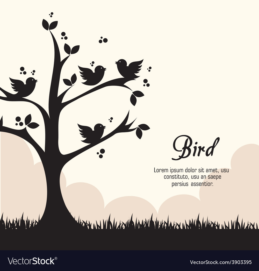 Bird design