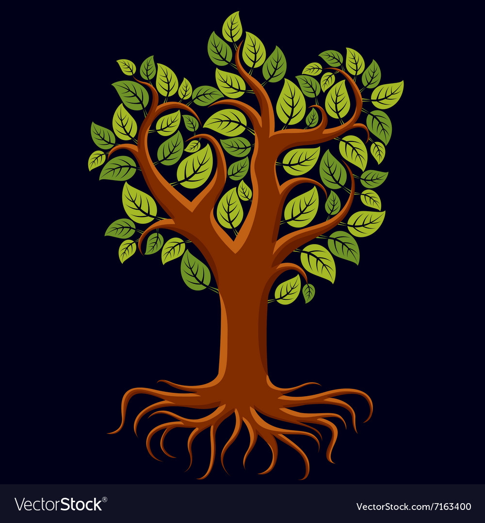 Art of branchy tree with strong roots Tree Vector Image