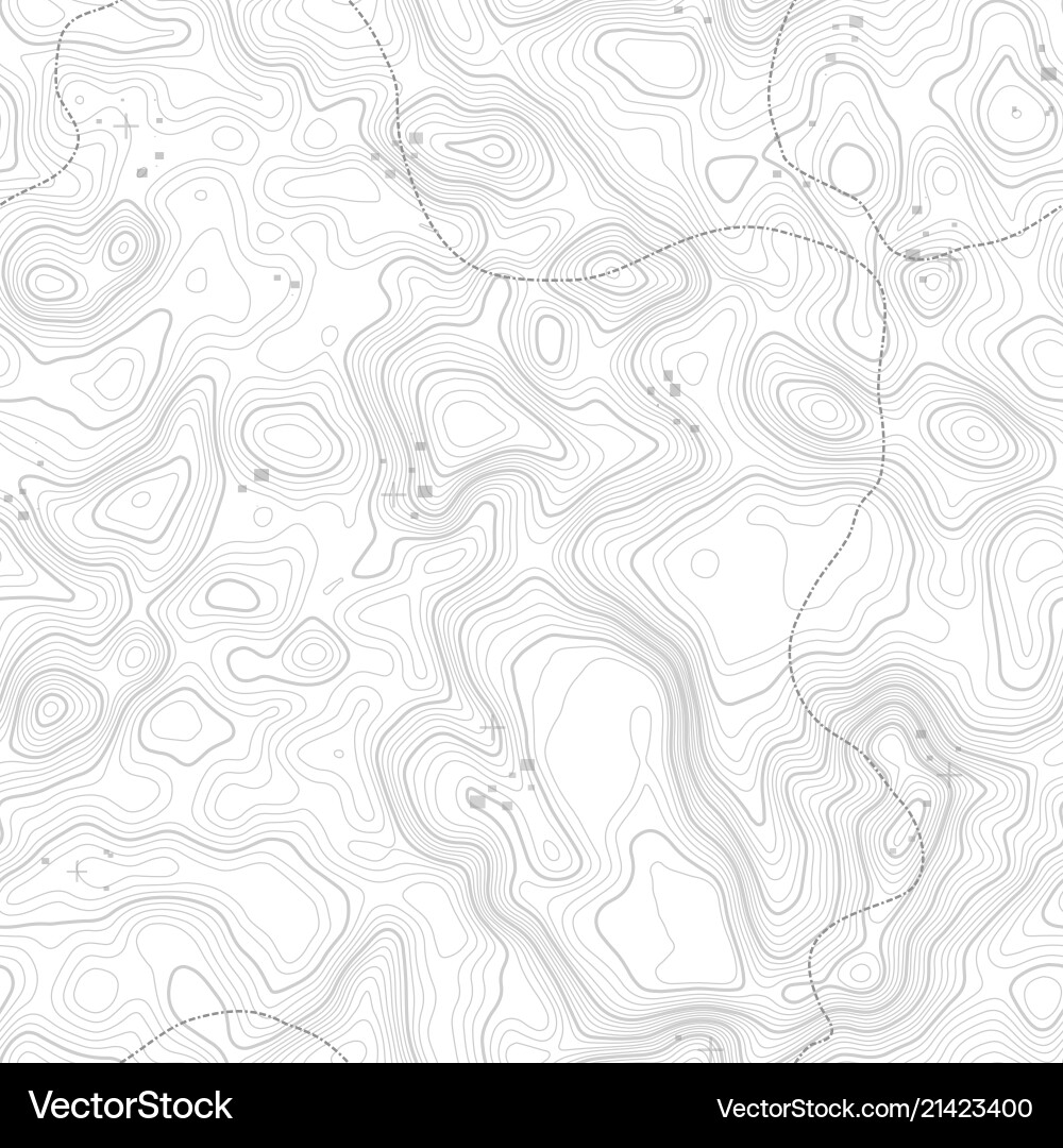 Seamless pattern topographic map background Vector Image