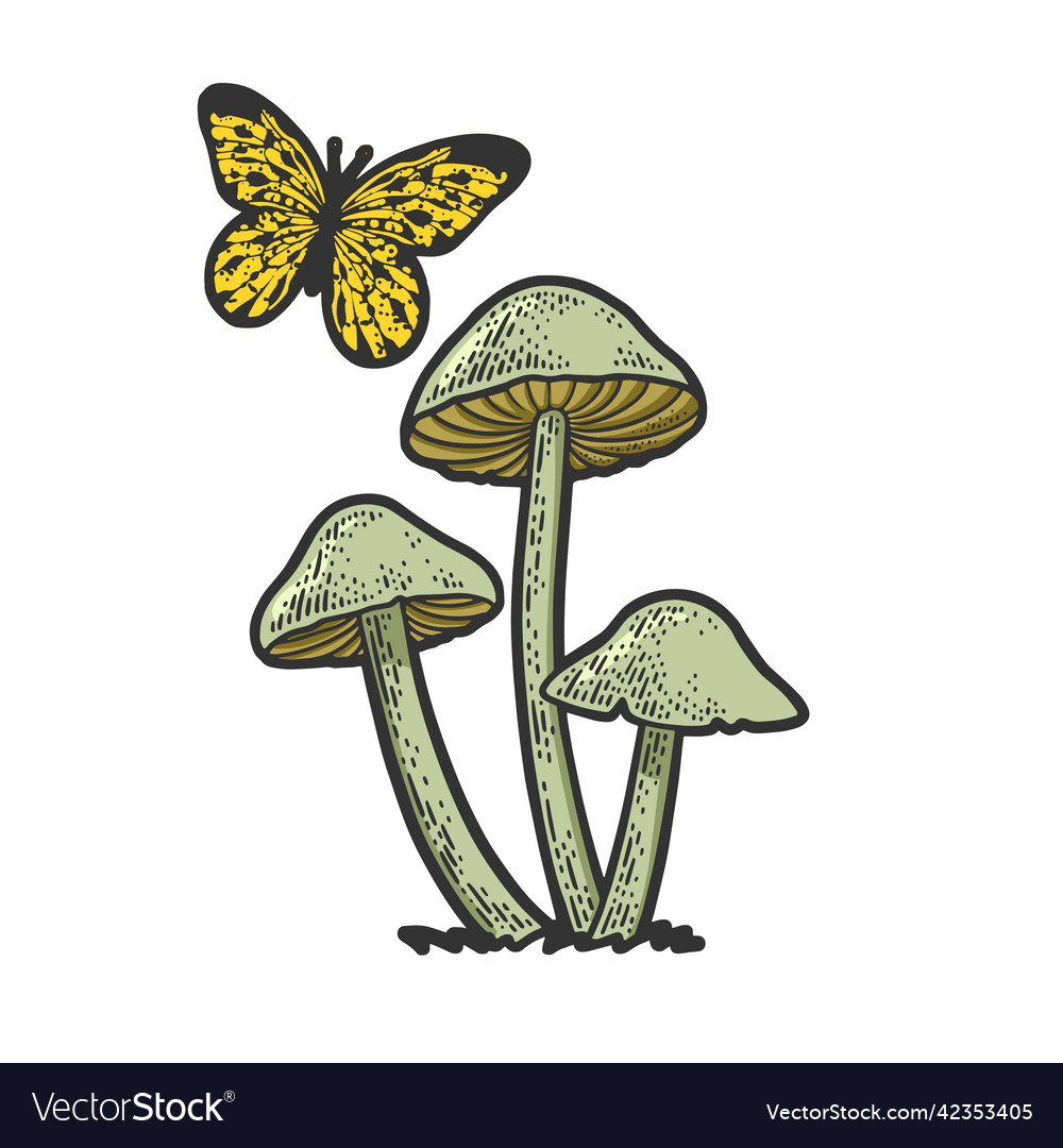 Mushrooms and butterfly line art color sketch Vector Image