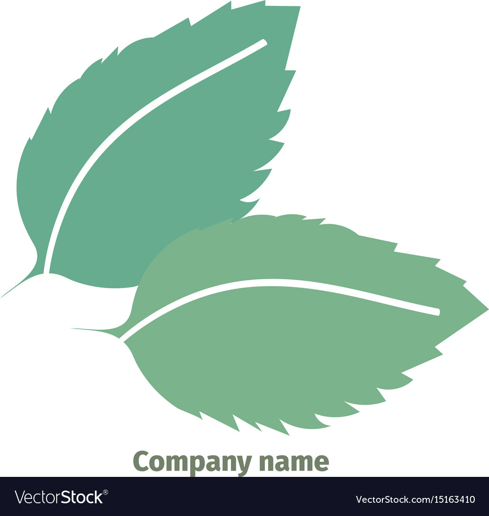 Mint logo for company isolated leaves