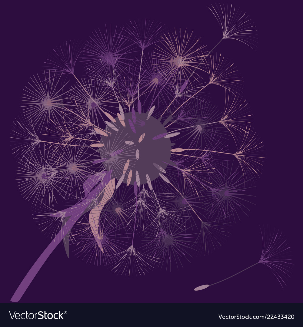 Abstract background of a dandelion for design