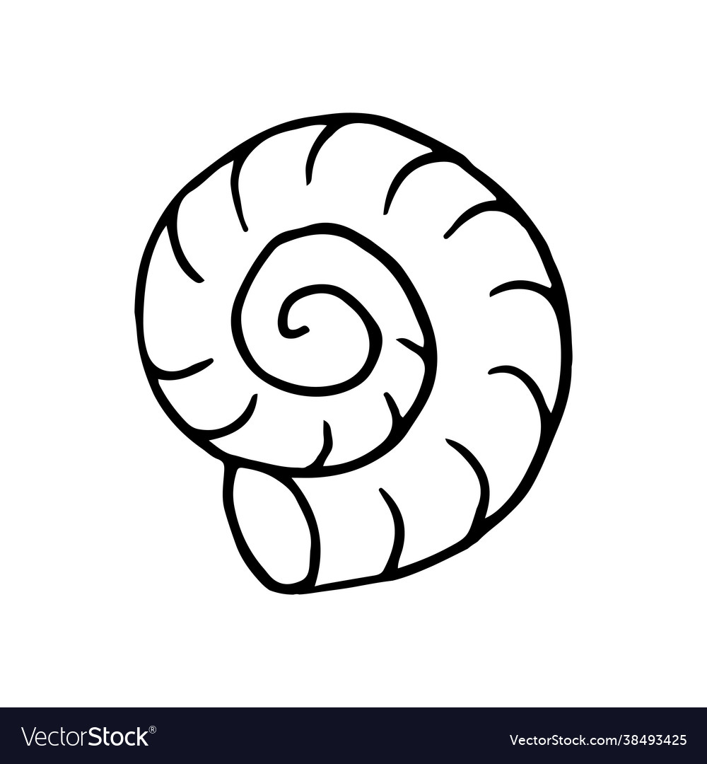 Contour Swirling Shell Marine Theme Icon In Hand Vector Image