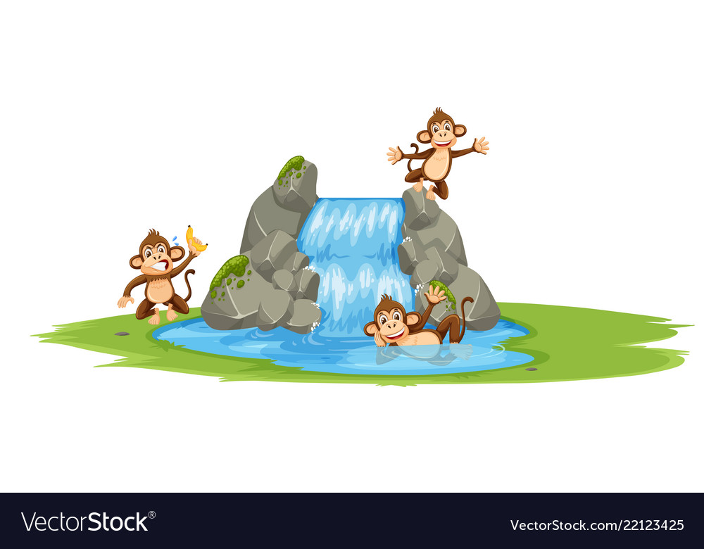 Group monkey at water Royalty Free Vector Image