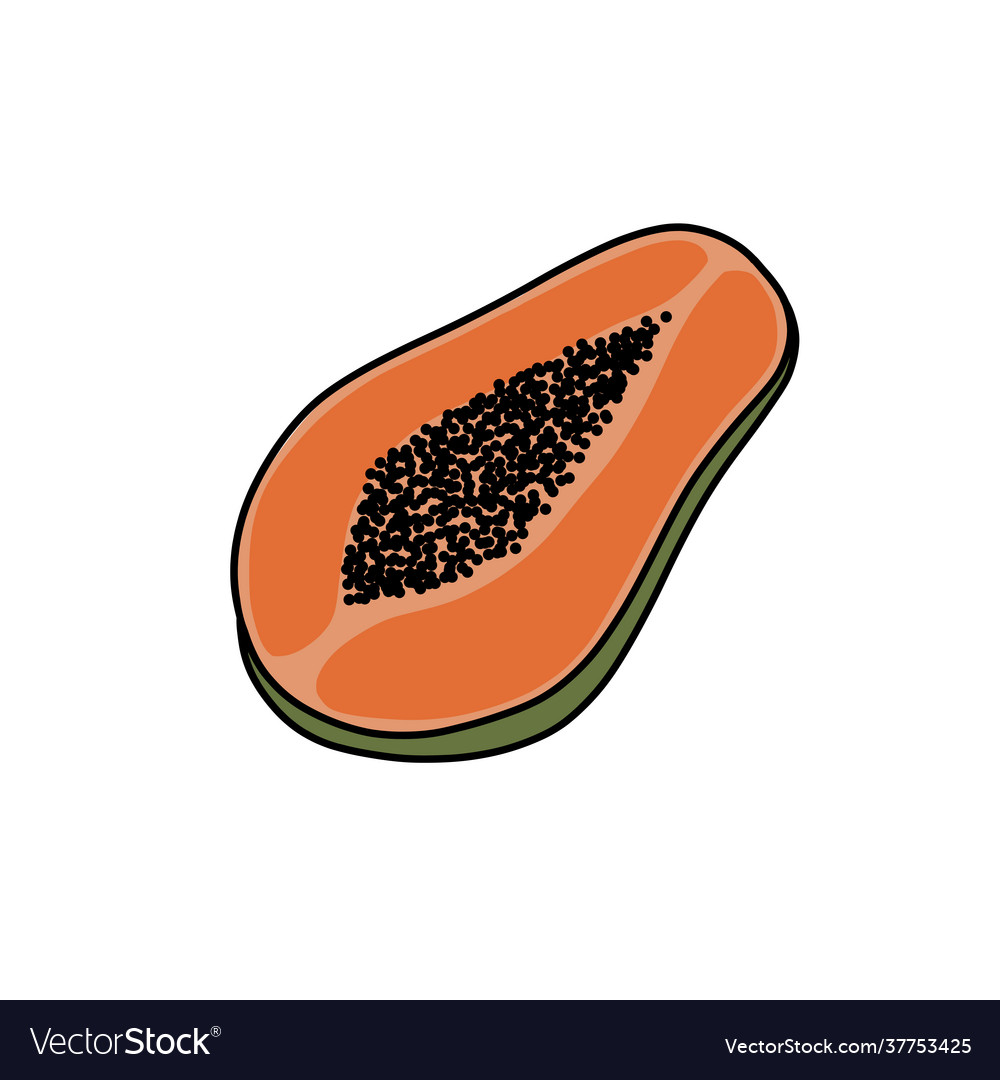 Papaya doodle icon color line Royalty Free Vector Image