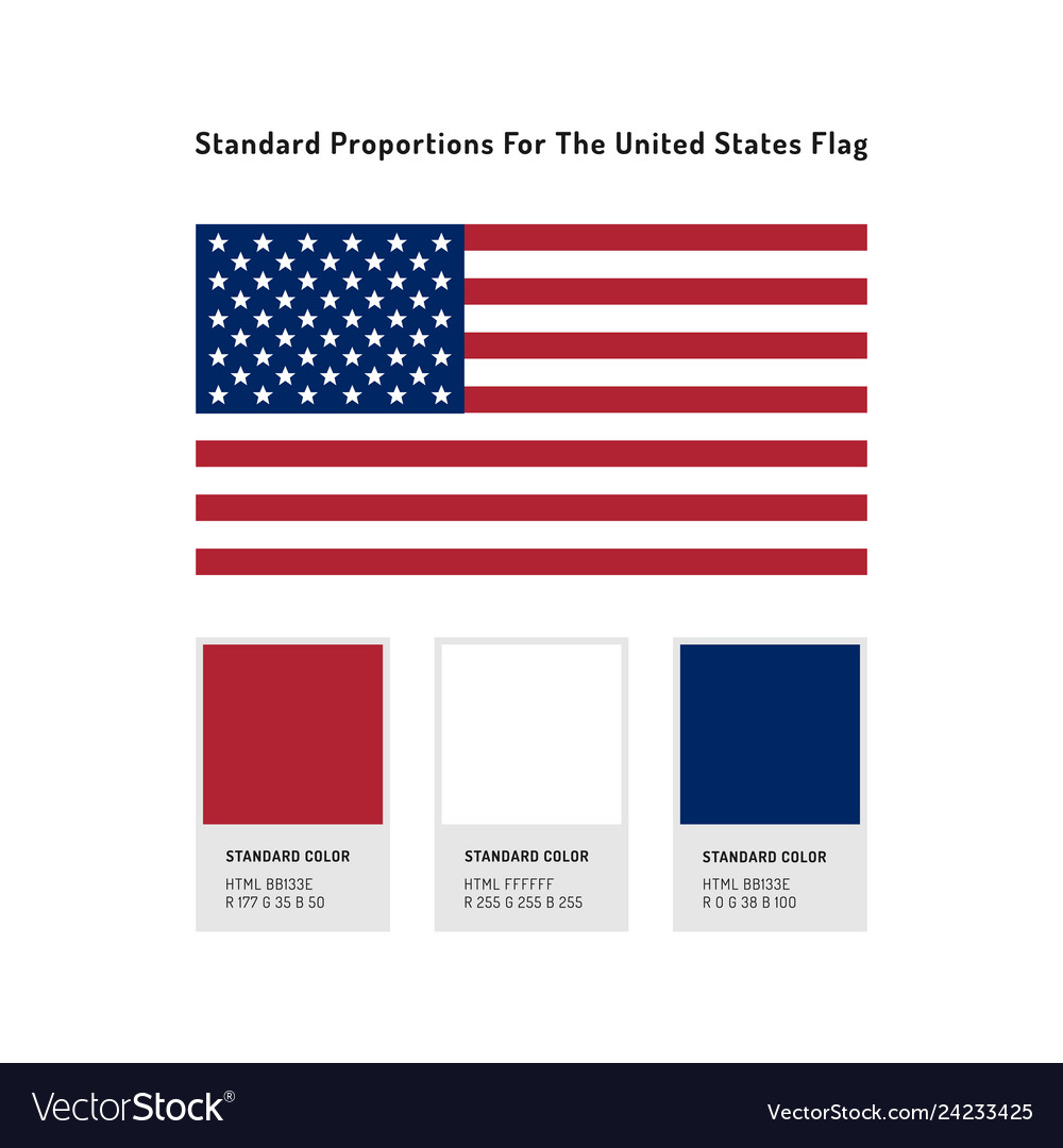 United states flag icon usa flag standard Vector Image