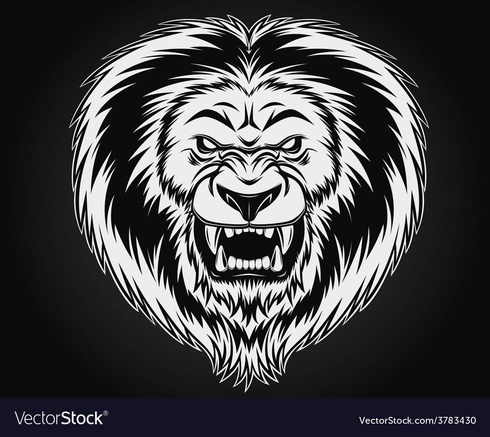 Angry lion Royalty Free Vector Image - VectorStock