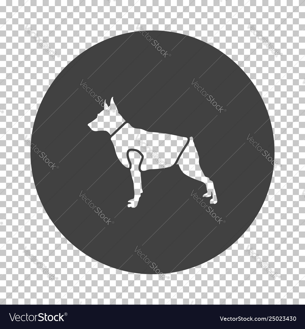 Dog cloth icon Royalty Free Vector Image - VectorStock