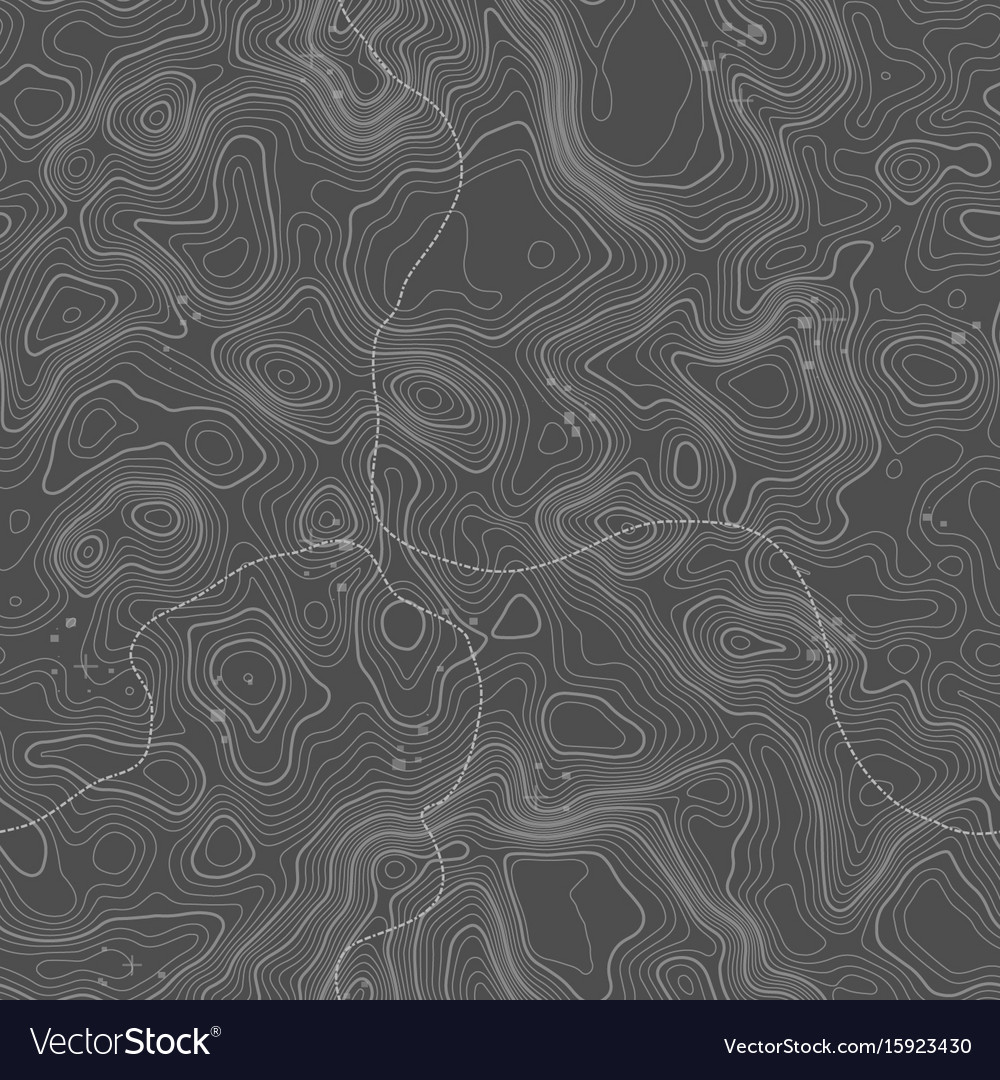 Seamless pattern topographic map background Vector Image