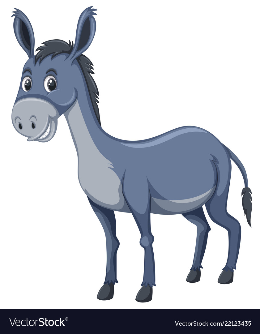 A cute donkey on white background Royalty Free Vector Image