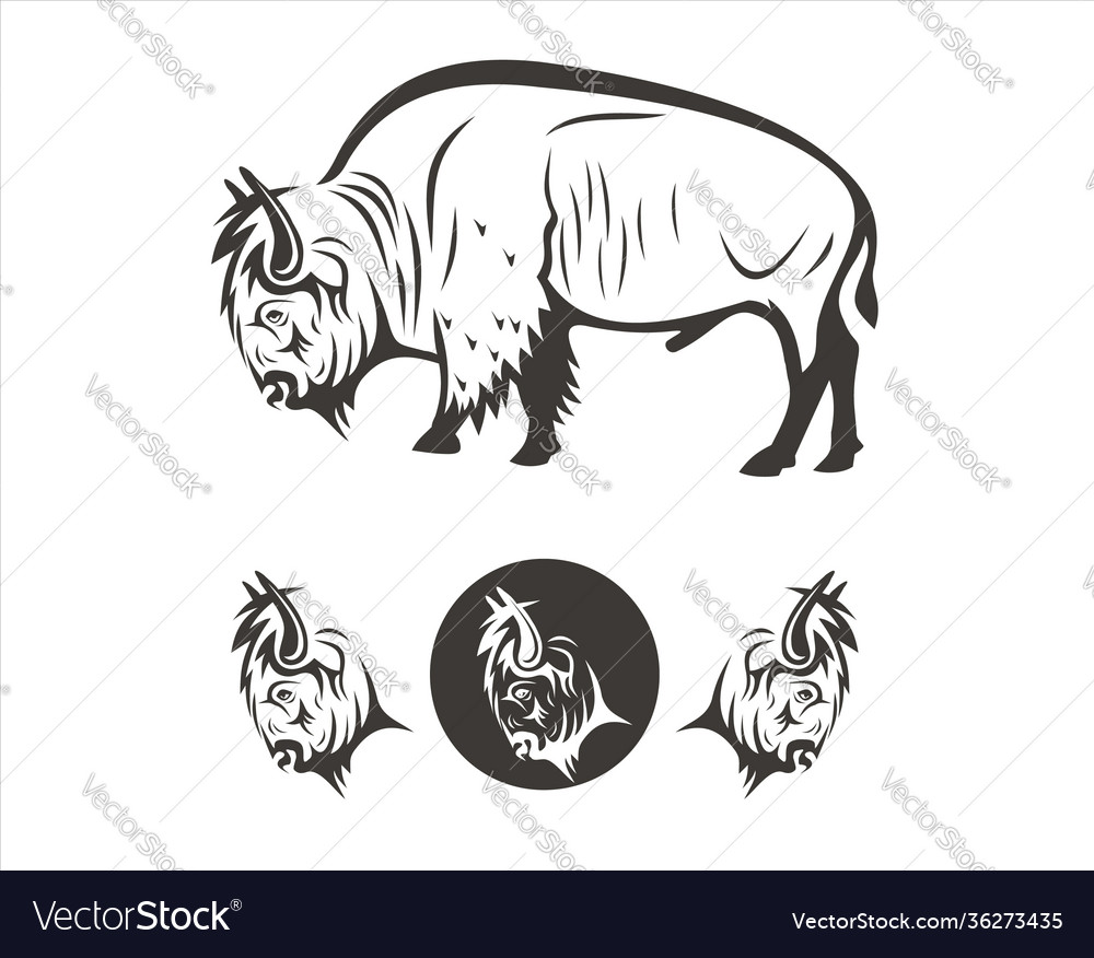 Bison