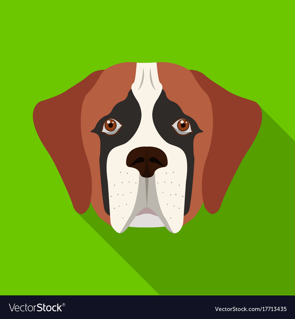 Breed of a dog st bernardmuzzle bernard