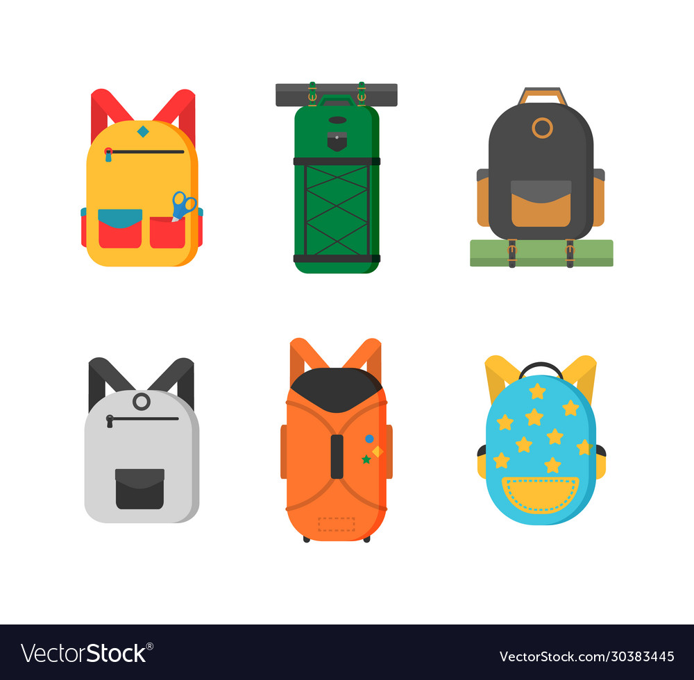 Different Types Luggage Royalty Free Vector Image