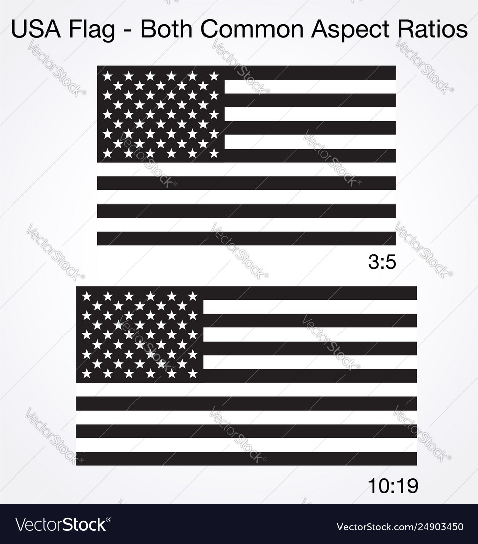Accurate correct black and white usa flags 2 sizes