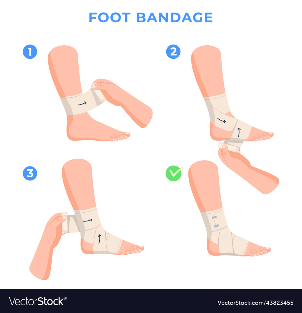 Limb bandaging step-by-step instructions help Vector Image