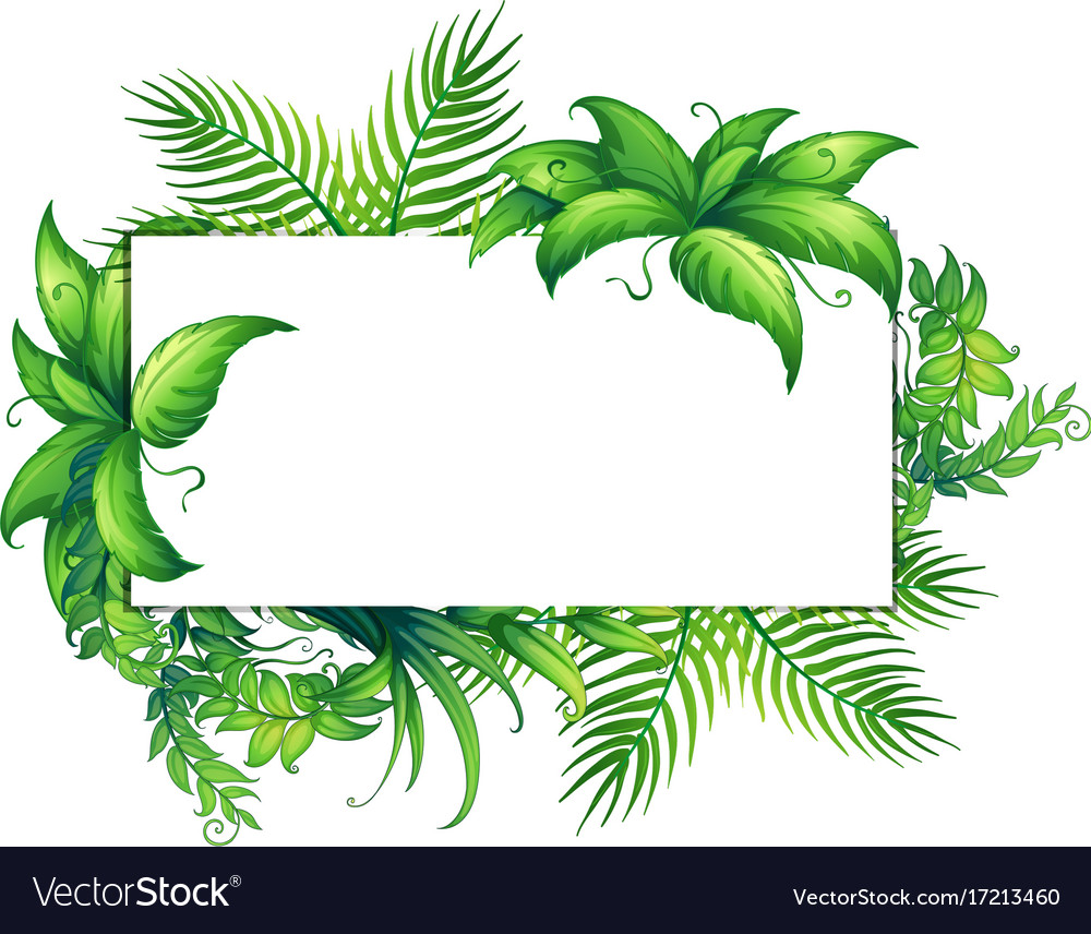 Border template with green leaves Royalty Free Vector Image