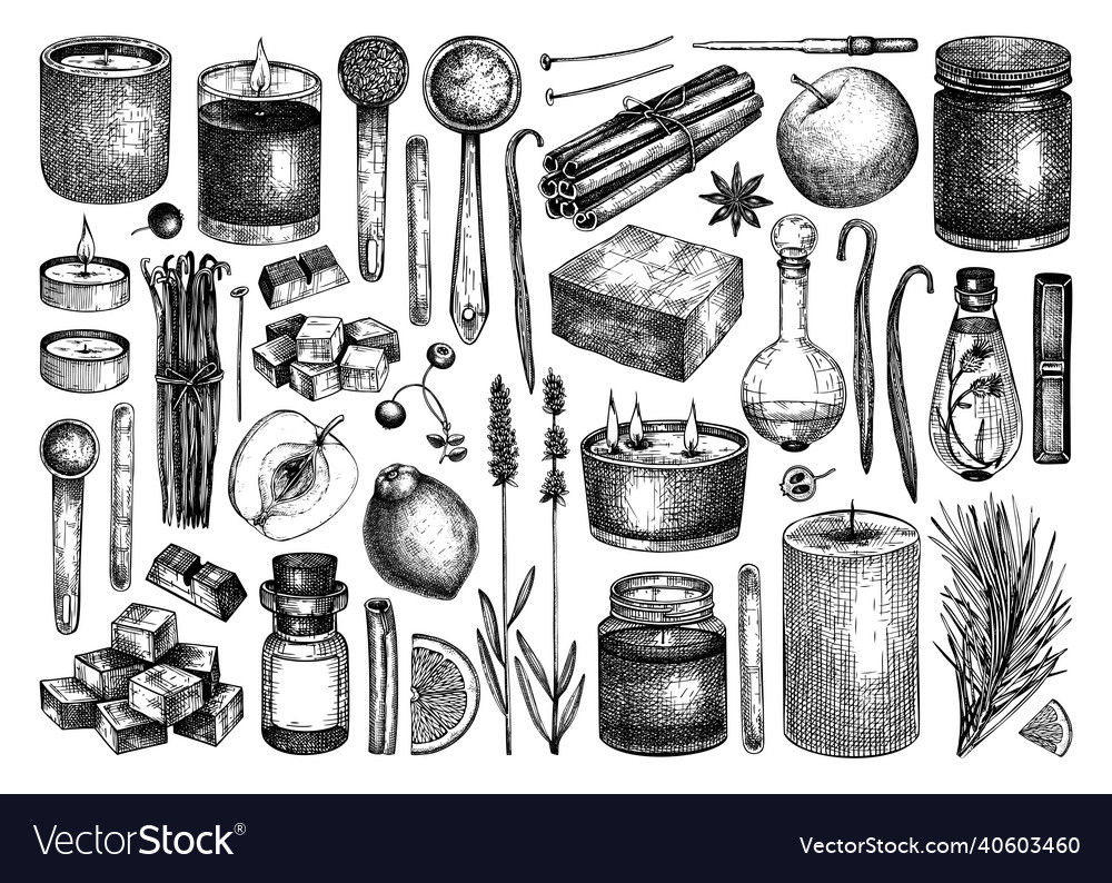 Hand-sketched aromatic candles ingredients Vector Image