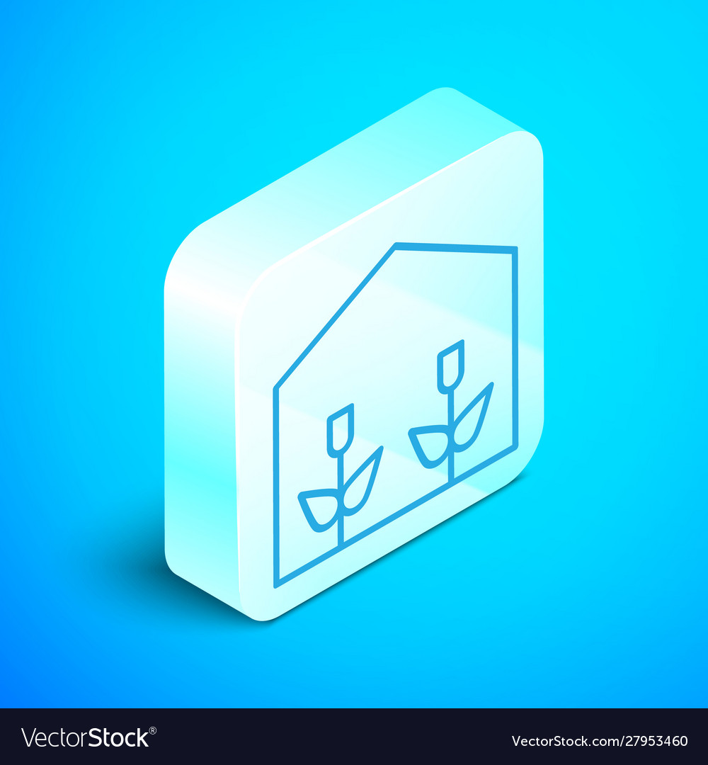 Isometric Line Home Greenhouse And Plants Icon Vector Image