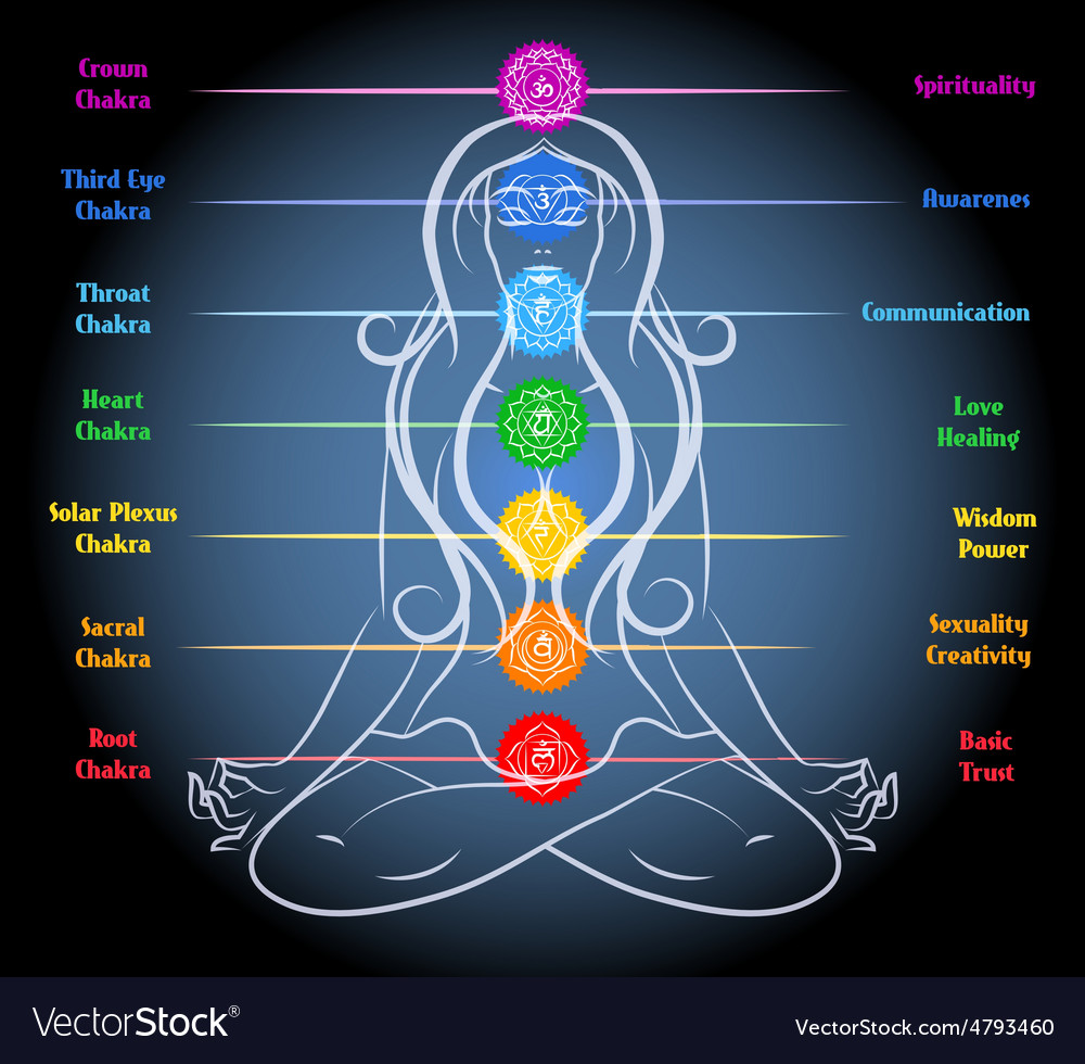 Woman Yoga Meditation With Chakras Royalty Free Vector Image