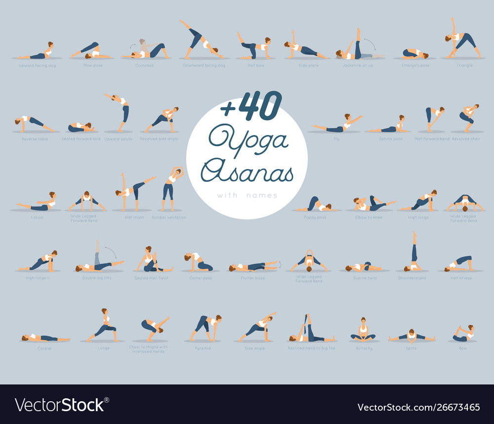 40 yoga asanas with names Royalty Free Vector Image