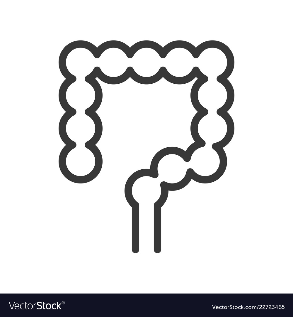 Large intestine simple outline icon Royalty Free Vector