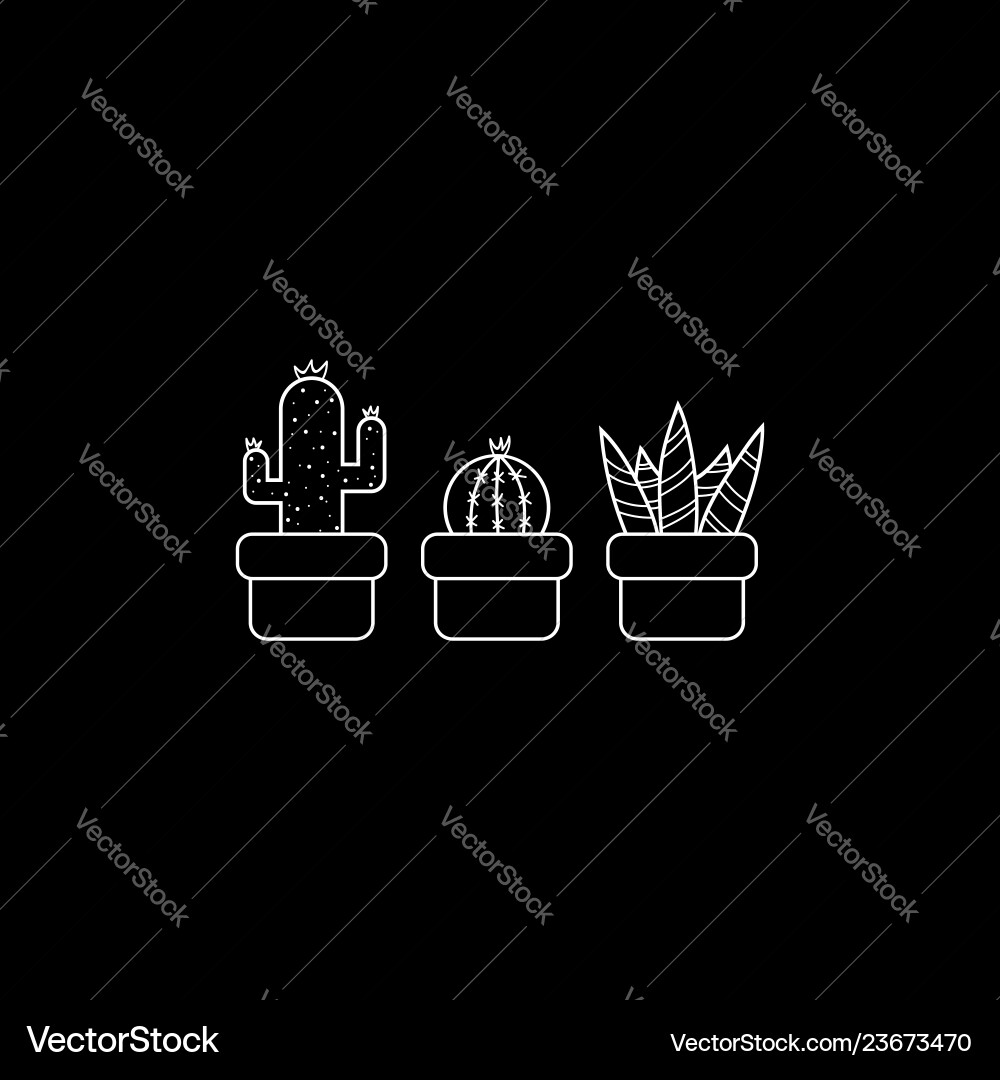 Cactus Royalty Free Vector Image - VectorStock