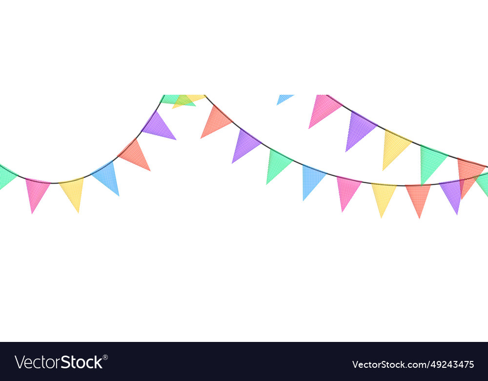 Birthday bunting garlands with flags made Vector Image