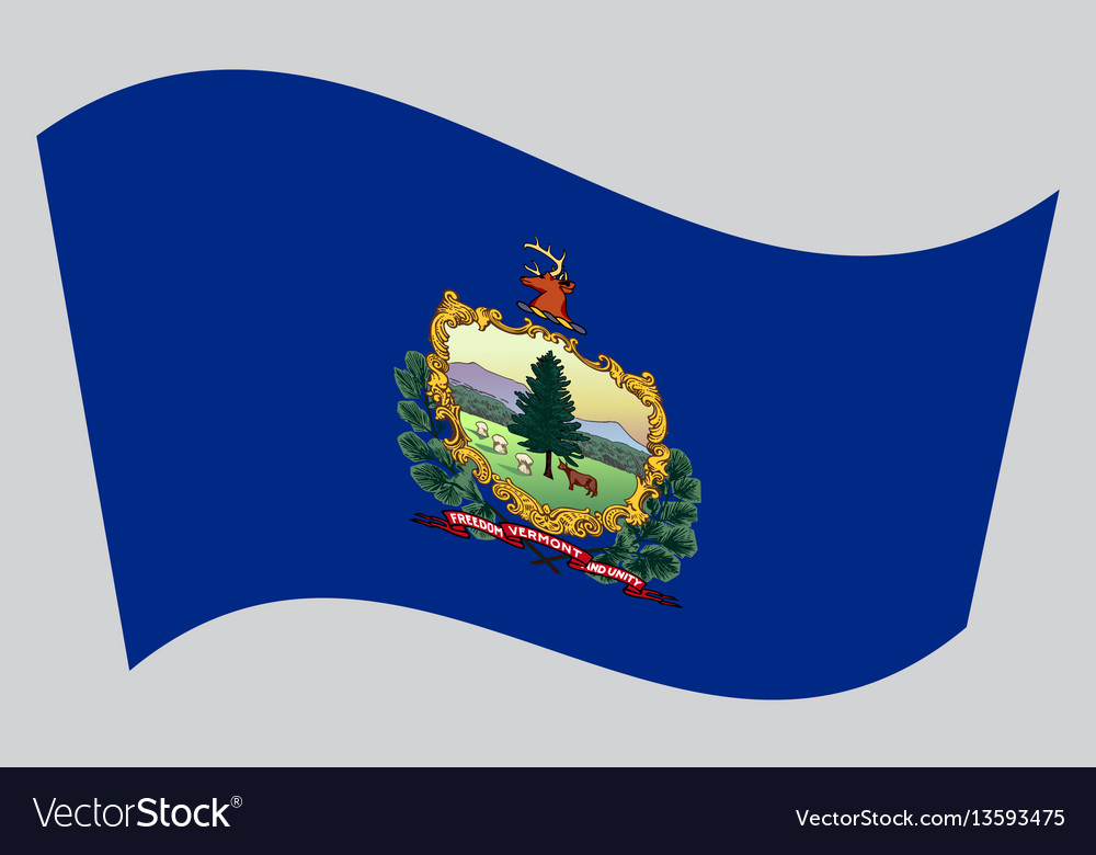 Flag of vermont waving on gray background Vector Image