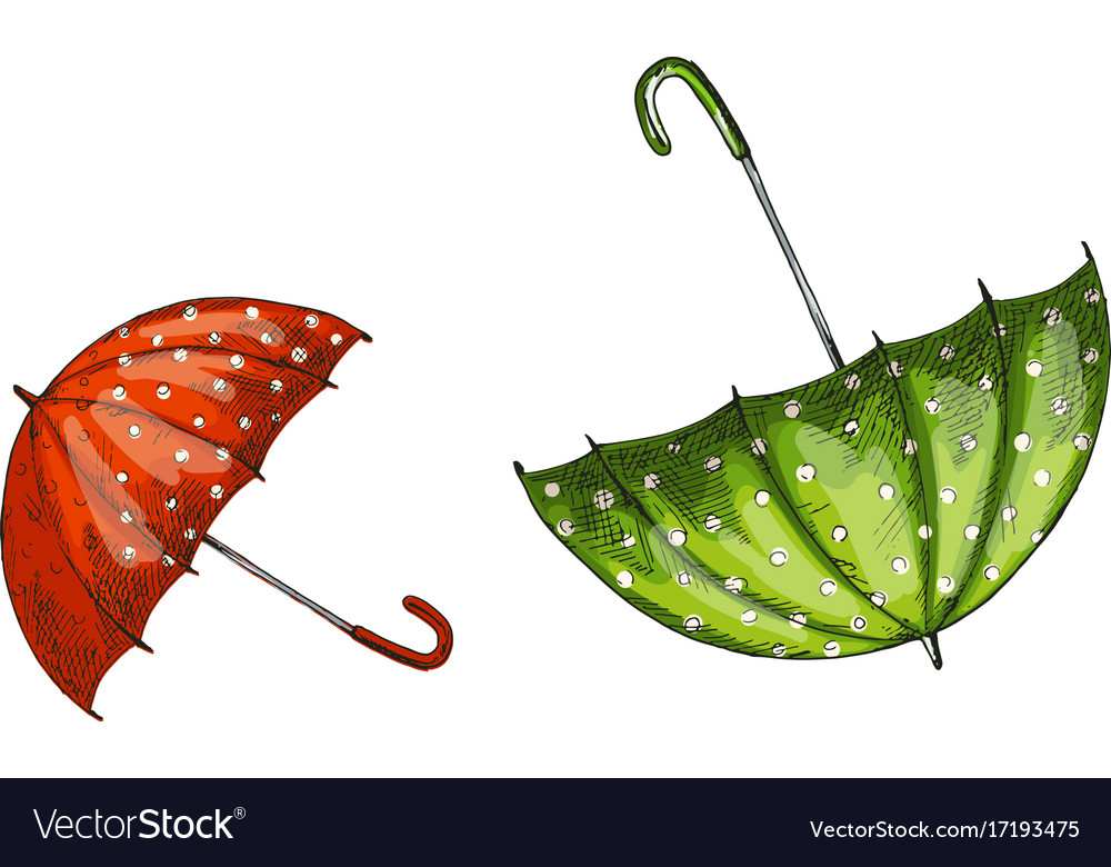 Two opened green and red umbrellas isolated