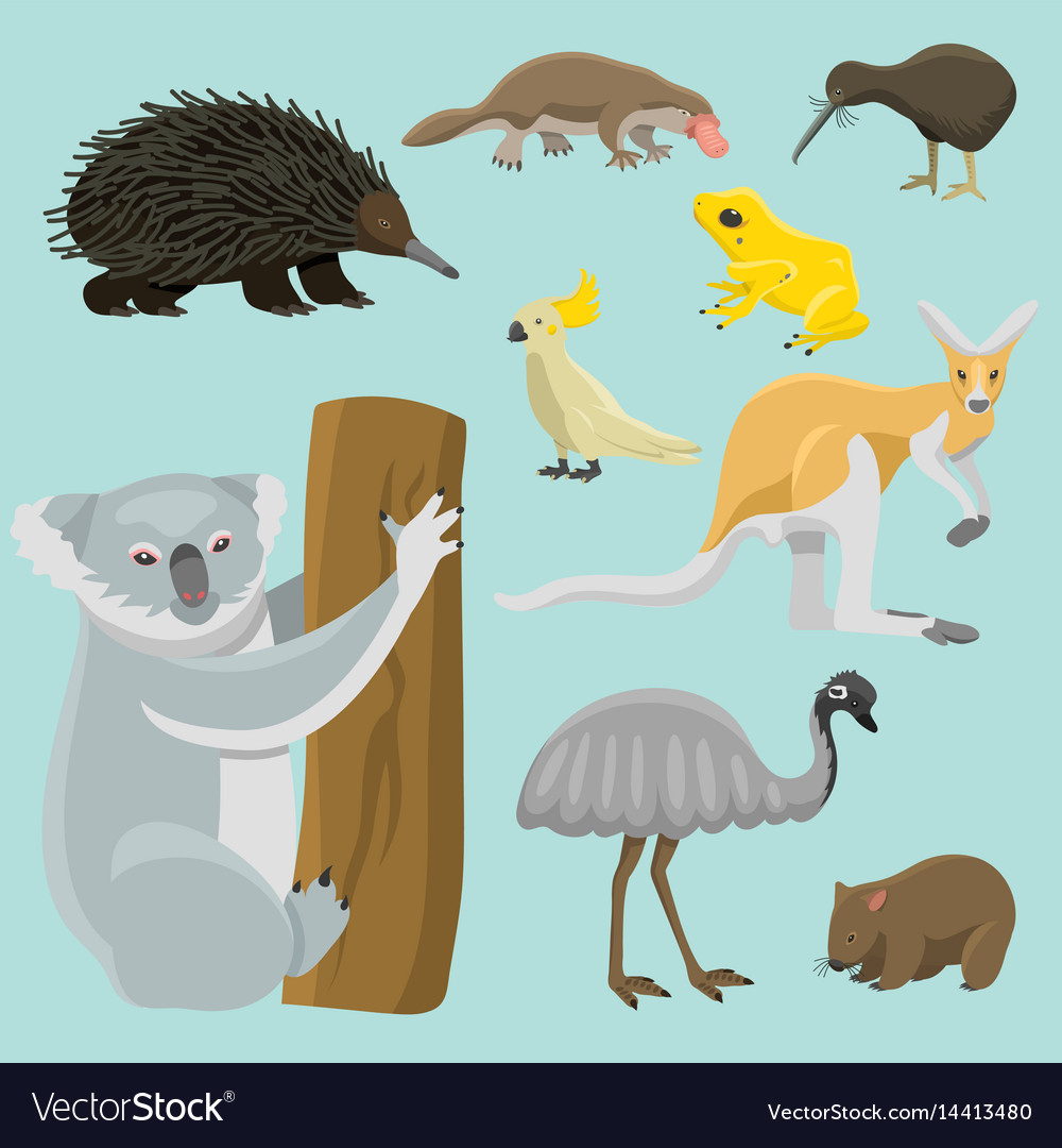 Australia wild animals cartoon popular nature Vector Image