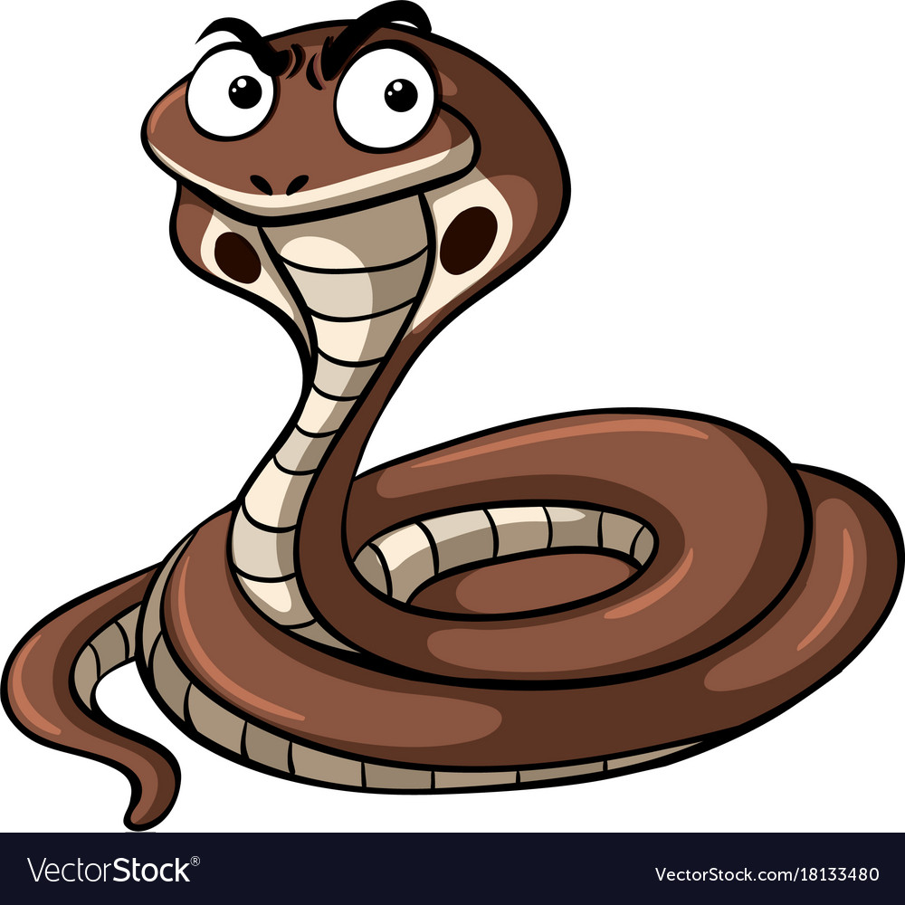 Cobra snake with serious face Royalty Free Vector Image