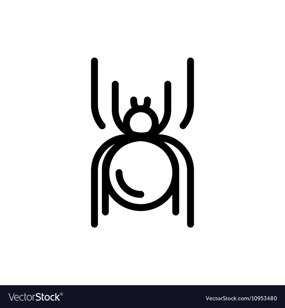 Spider halloween icon