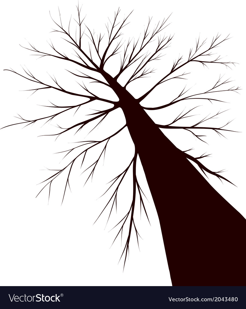 Tree Silhouette Royalty Free Vector Image Vectorstock