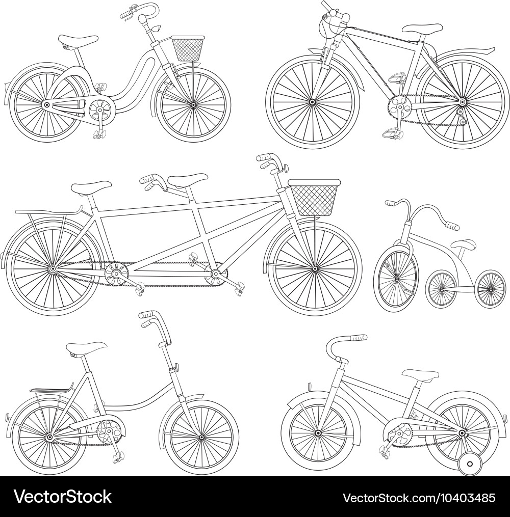 Bicycle set Royalty Free Vector Image - VectorStock