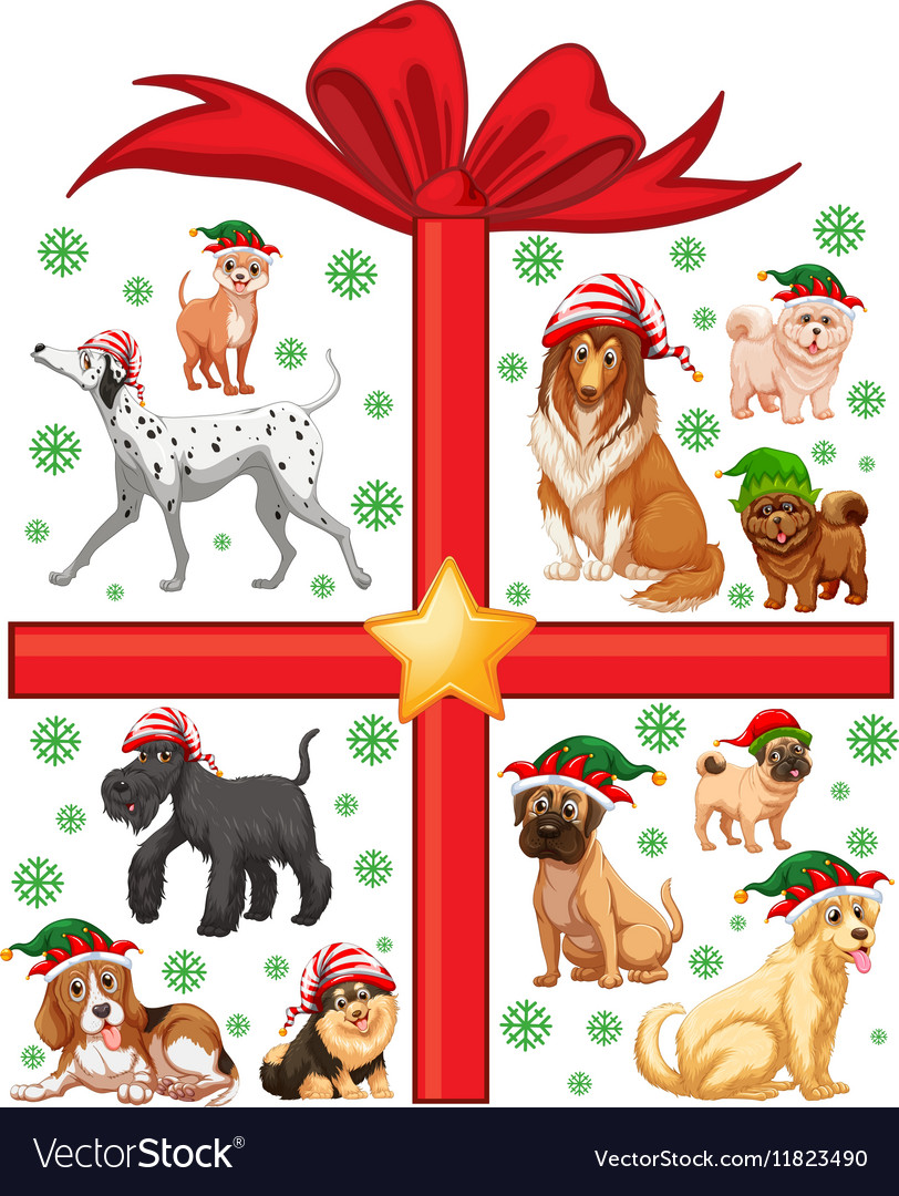 dog christmas gift box