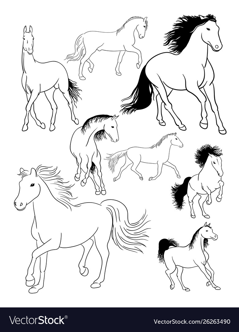 Horse line art Royalty Free Vector Image - VectorStock