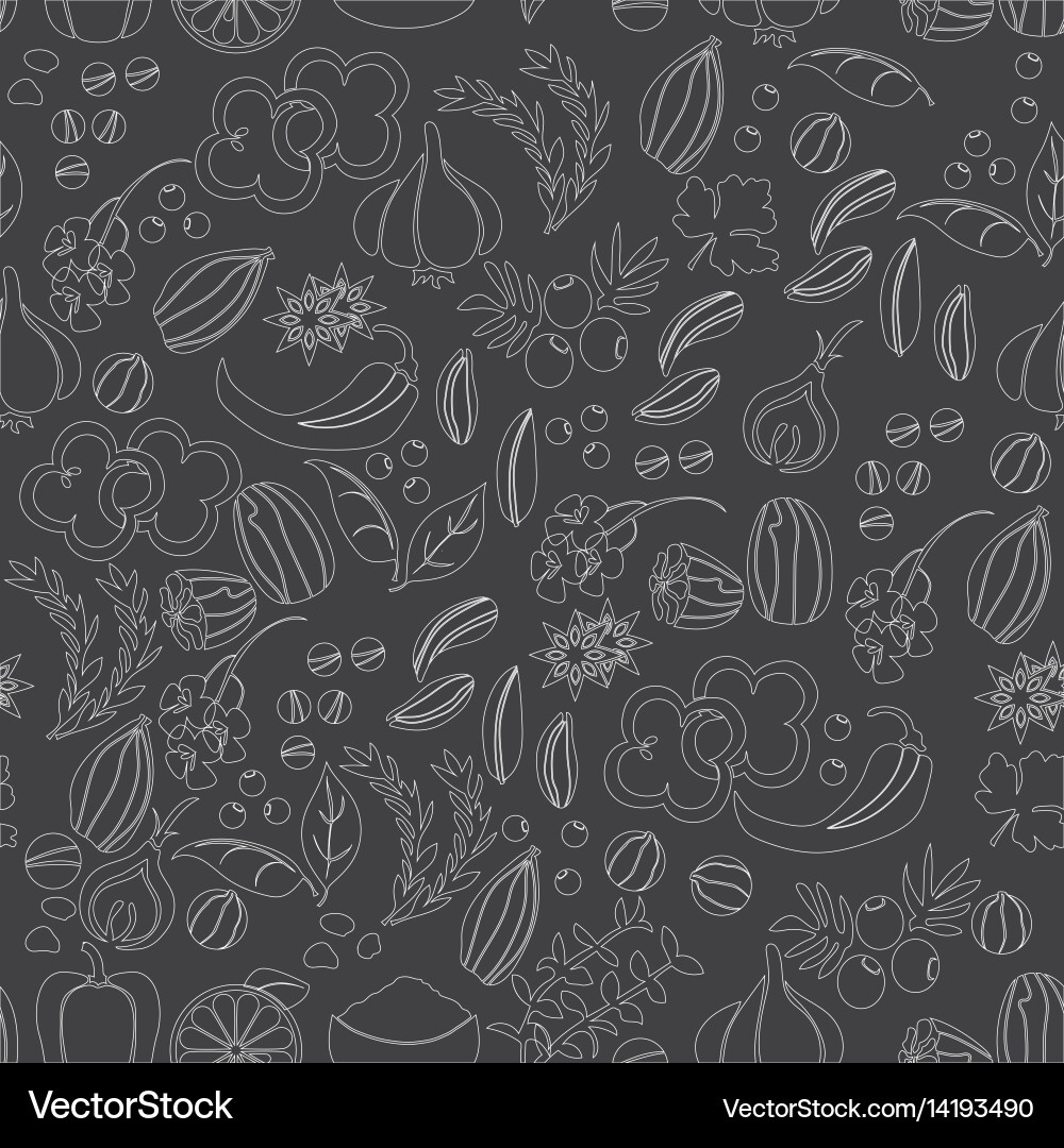 Pattern with hand drawn spices and herbs Vector Image