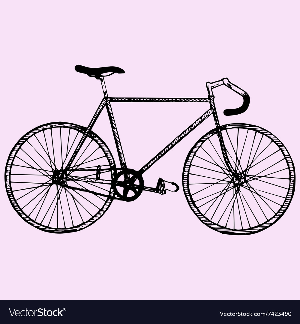 Sport bicycle